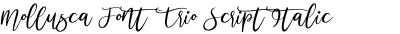 Mollusca Font Trio Script Italic